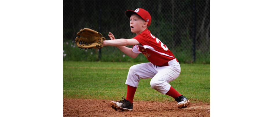 Vidor Youth Baseball League > Home